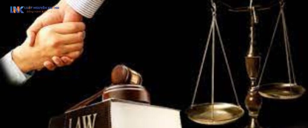 Tranh chấp đất khai hoang không có giấy tờ