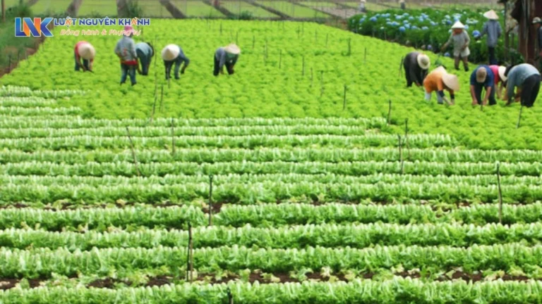 Chuyển đất nông nghiệp sang đất thương mại dịch vụ có phải xin phép không?