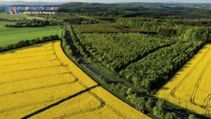 Điều kiện chuyển đổi mục đích sử dụng đất nông nghiệp sang đất ở