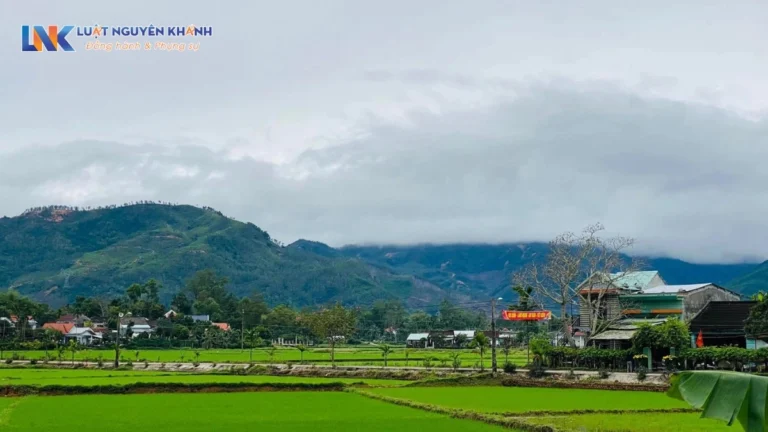 Có được chuyển nhượng đất nông nghiệp hay không?