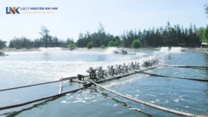 Đất nuôi trồng thủy sản có được chuyển mục đích không?