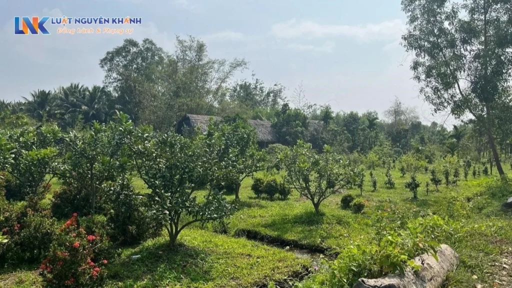 Đất vườn có tách sổ đỏ được không?