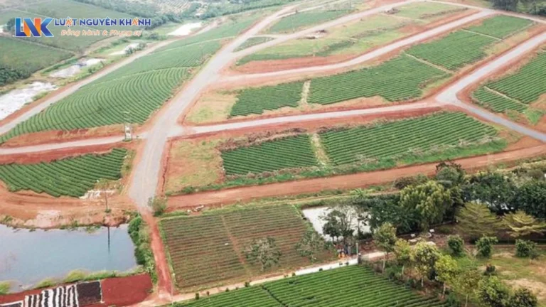 Diện tích tối thiểu tách thửa tại 63 tỉnh, thành phố mới nhất