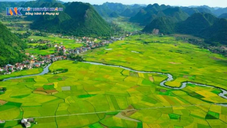 Diện tích tối thiểu tách thửa đất vườn