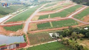 Điều kiện tách thửa theo quy định mới nhất