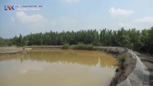 Hướng dẫn thủ tục làm sổ đỏ đất nuôi trồng thủy sản