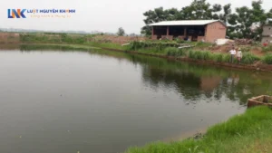 Hướng dẫn hồ sơ, thủ tục làm sổ đỏ từ đất ao