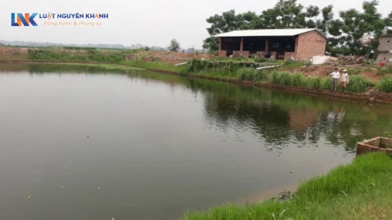 Hướng dẫn hồ sơ, thủ tục làm sổ đỏ từ đất ao