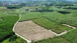 Mẫu giấy cho tặng đất ruộng mới nhất theo quy định