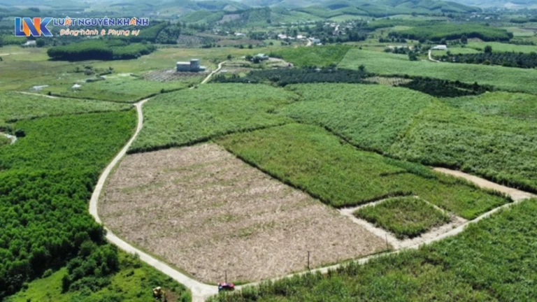 Mẫu giấy cho tặng đất ruộng mới nhất theo quy định