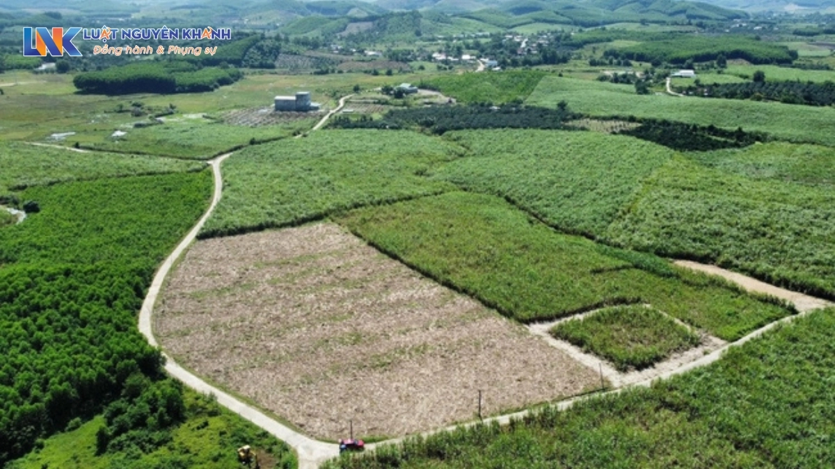 Mẫu giấy cho tặng đất ruộng mới nhất theo quy định