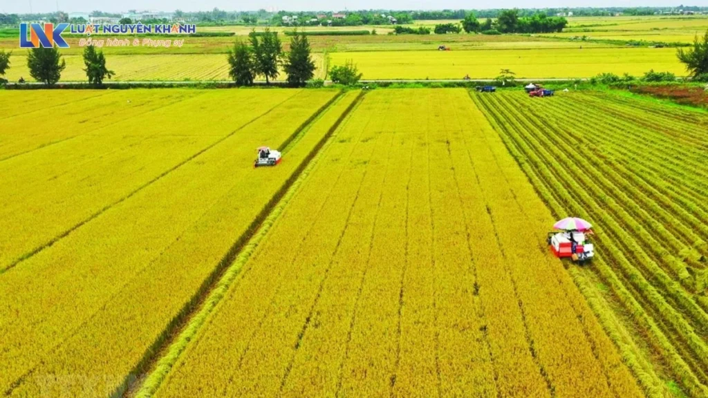 Điều kiện mua bán đất nông nghiệp theo quy định