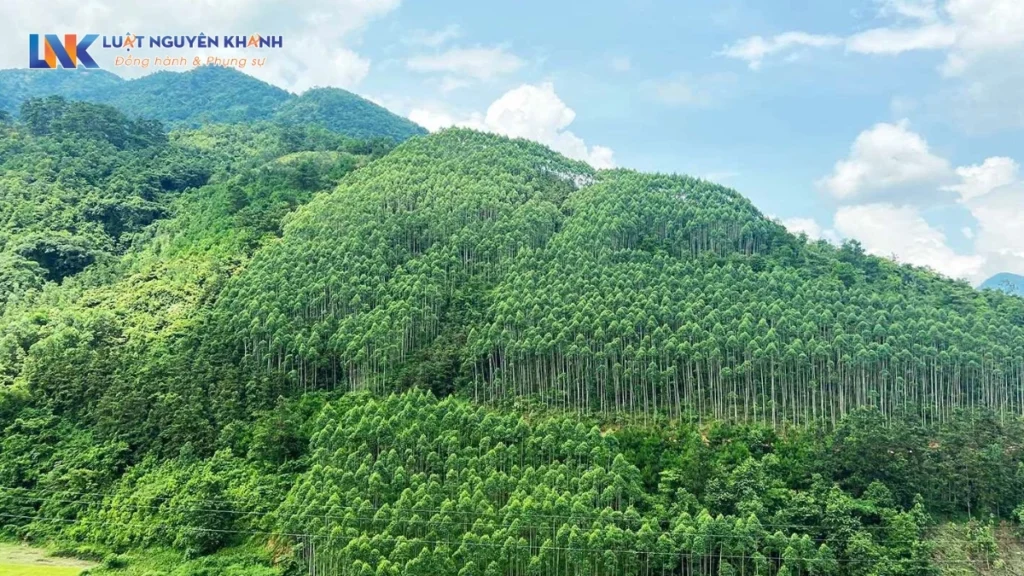 Phí chuyển đổi đất rừng sản xuất sang đất ở là bao nhiêu?