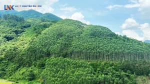 Phí chuyển đổi đất rừng sản xuất sang đất ở là bao nhiêu?