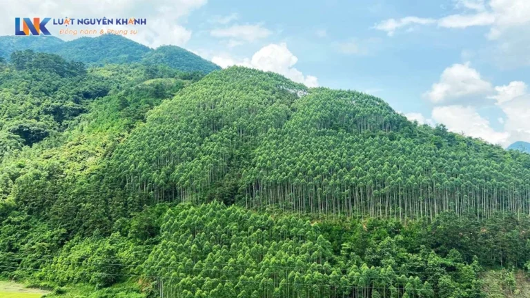 Phí chuyển đổi đất rừng sản xuất sang đất ở là bao nhiêu?