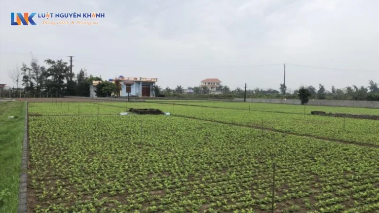 Quy định về bồi thường đất nông nghiệp khi bị Nhà nước thu hồi