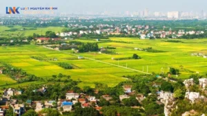 Quy trình lên thổ cư: Hồ sơ, thủ tục và chi phí