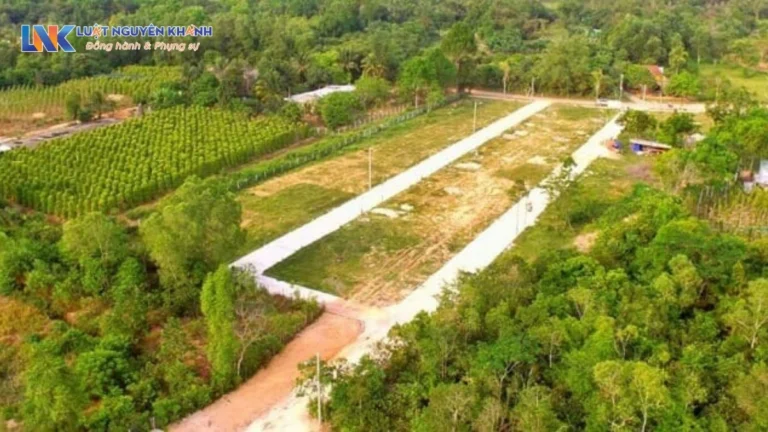 Có được tách thửa đất trồng cây lâu năm hay không?