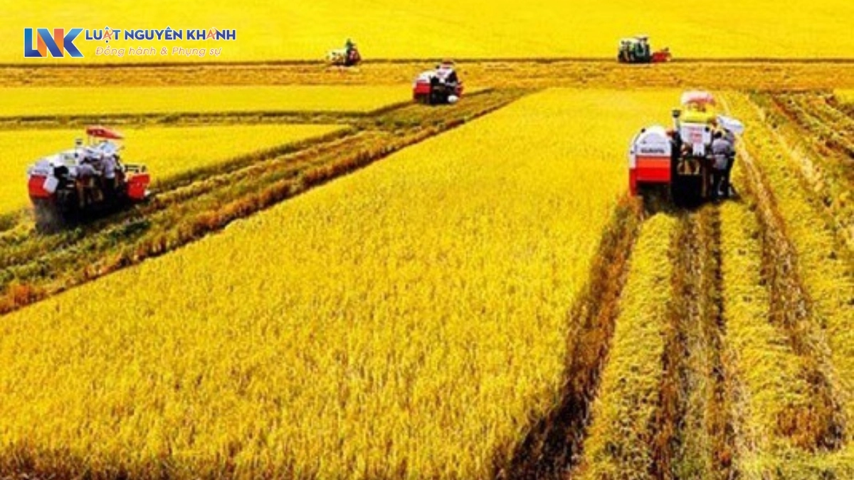 Có bắt buộc phải nộp thuế sử dụng đất nông nghiệp không?