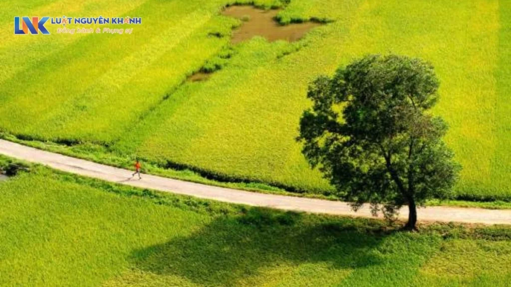 Mức phạt khi tự ý chuyển mục đích sử dụng đất